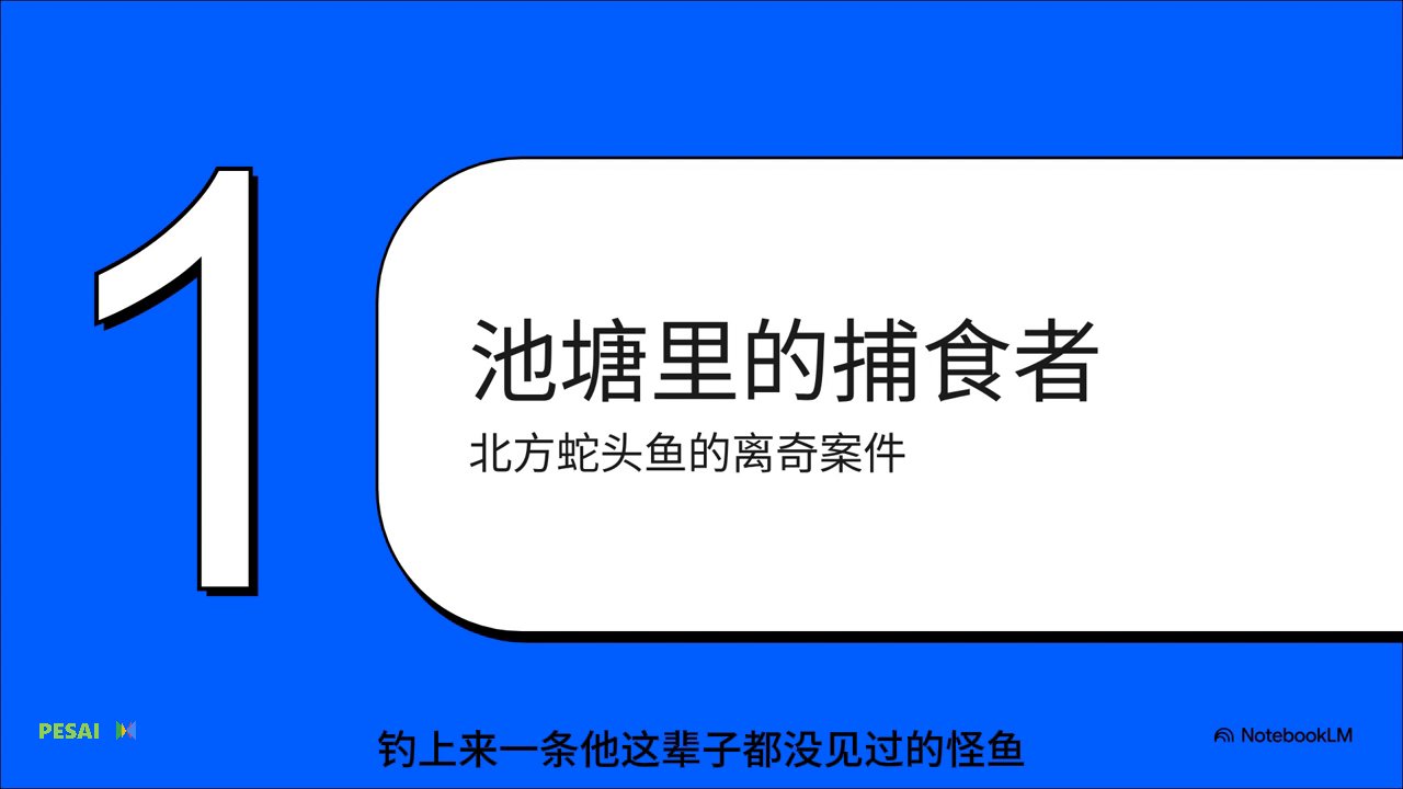 深度解析：入侵物种的生态探案故事 视频 1